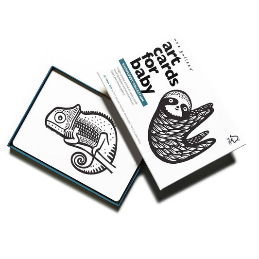 Rainforest Baby Animals Art Cards