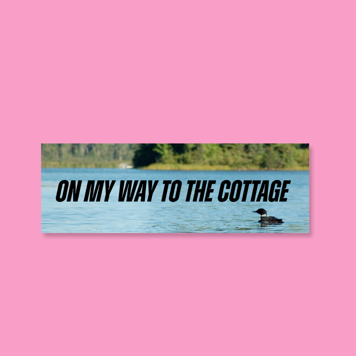 Heated Rivalry Cottage Bumper Sticker