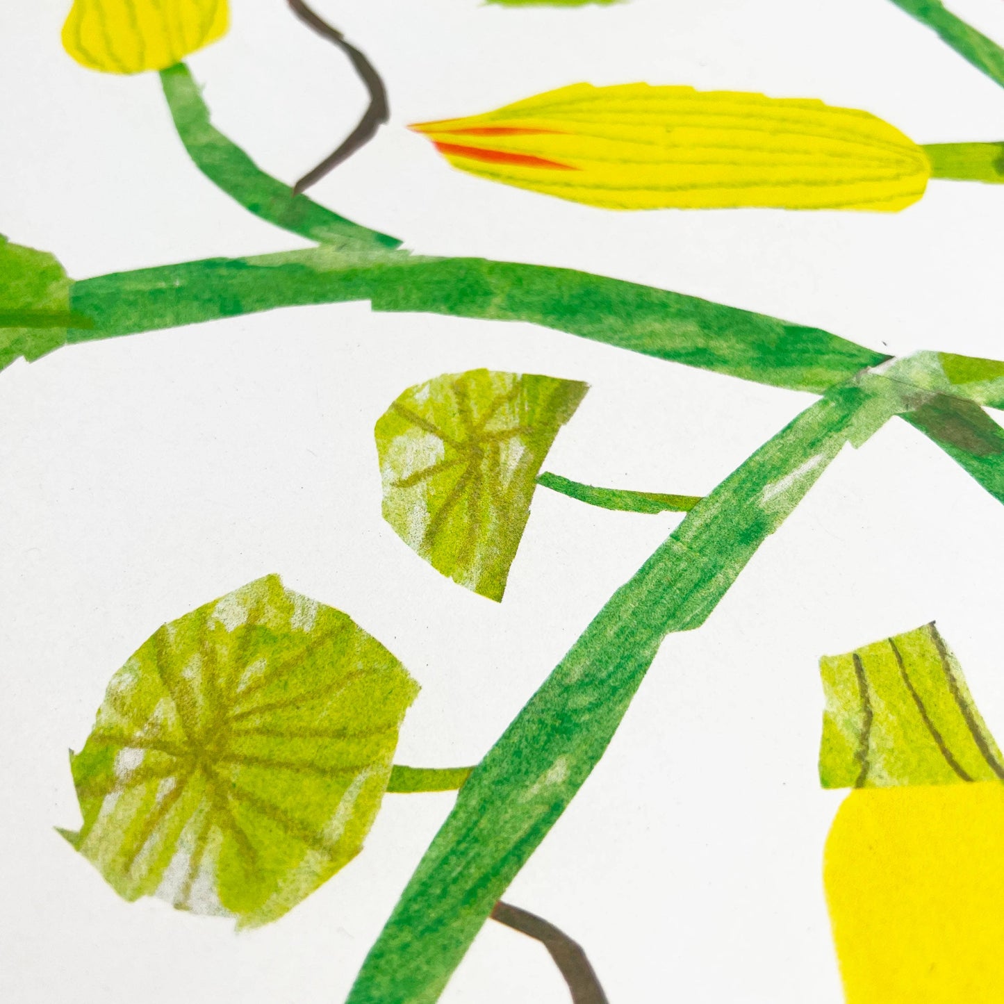 Courgette Risograph Print