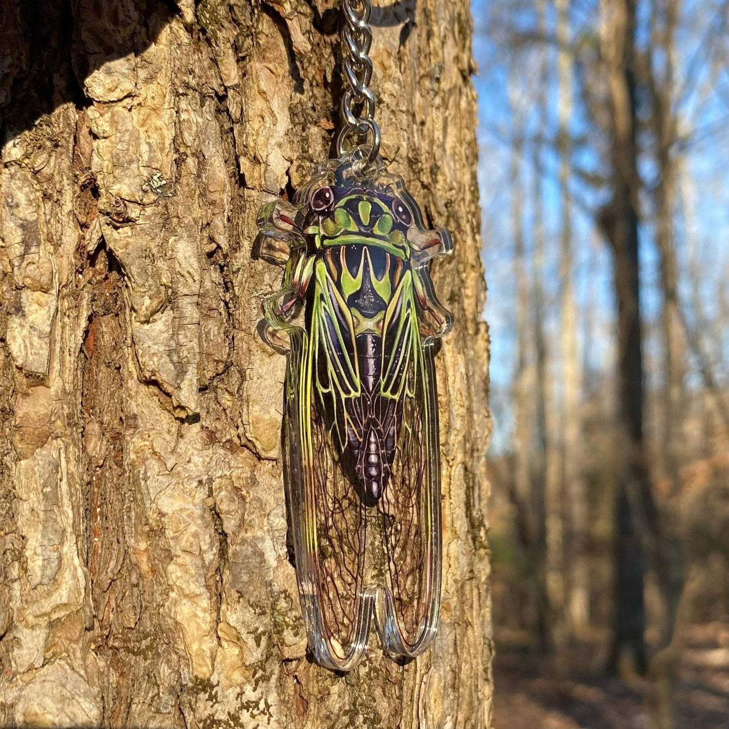 Cicada Keychain