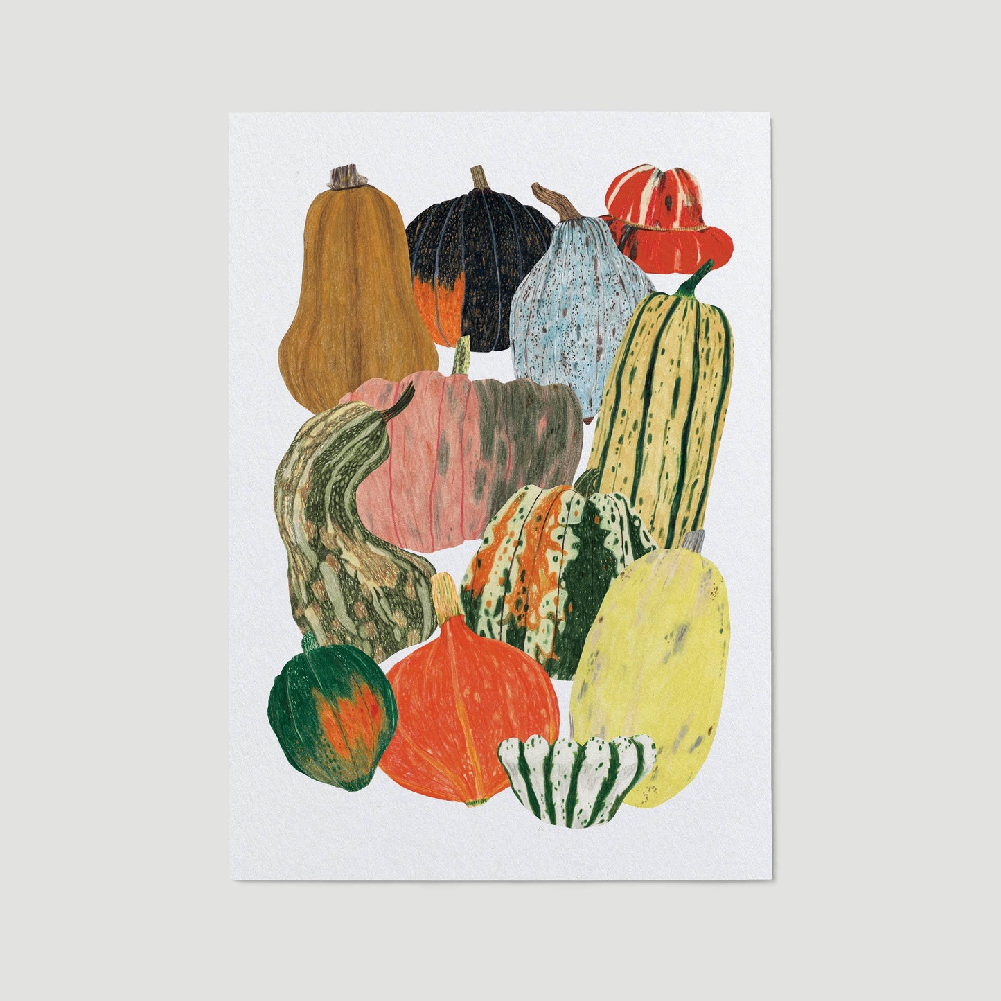 Pumpkin Squash Vegetables Print