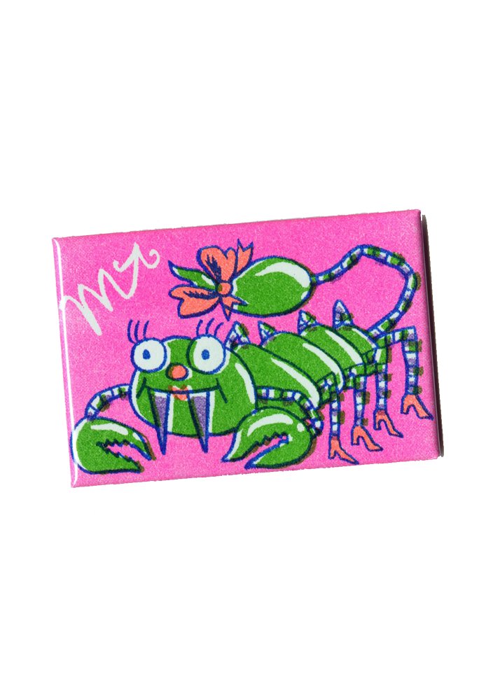 Zodiac magnet