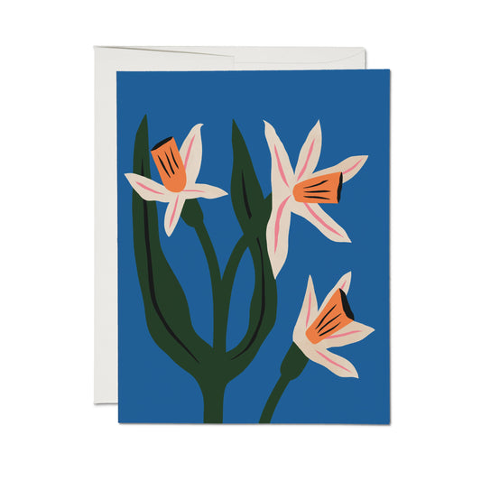 Blue Daffodils card - Everyday card
