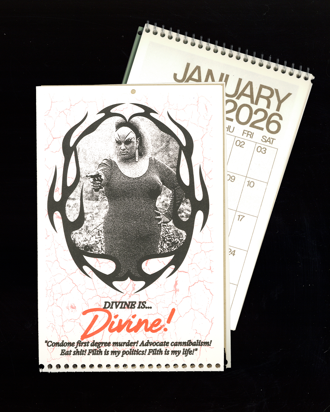 2026 John Waters Film Wall Calendar