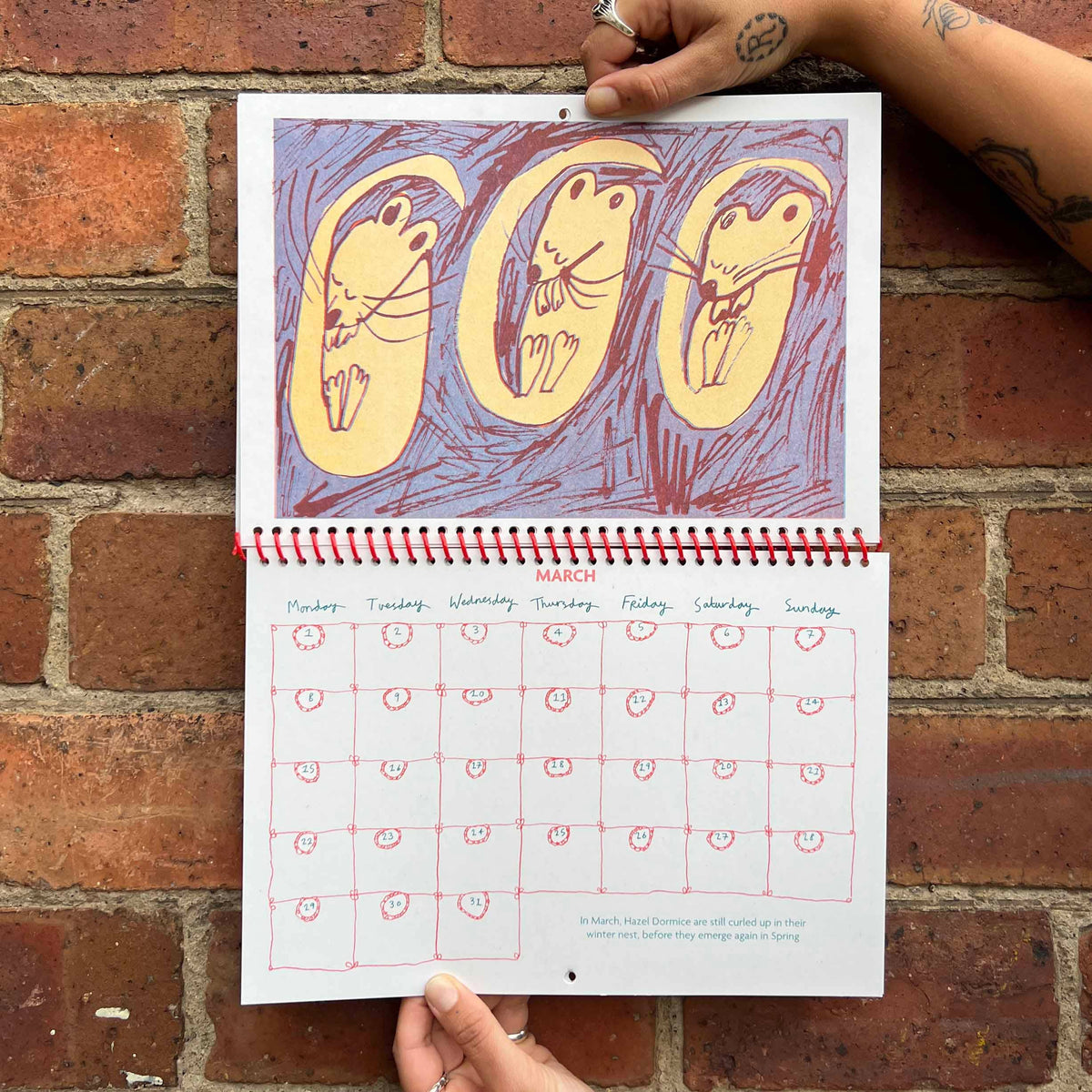 2027 Risograph Illustrated Wall Calendar