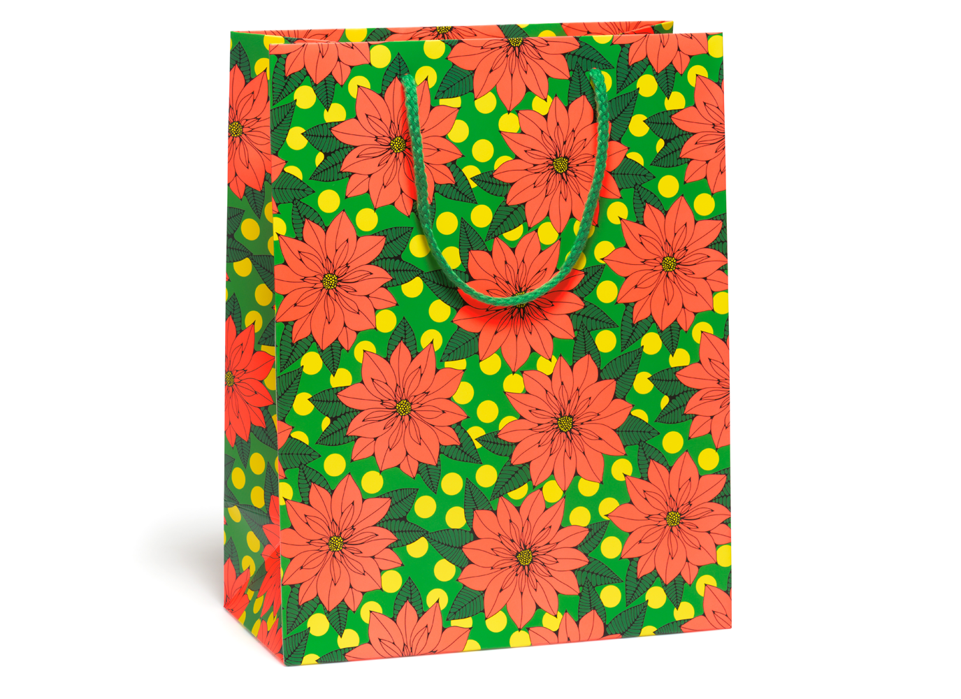 Large Gift Bag