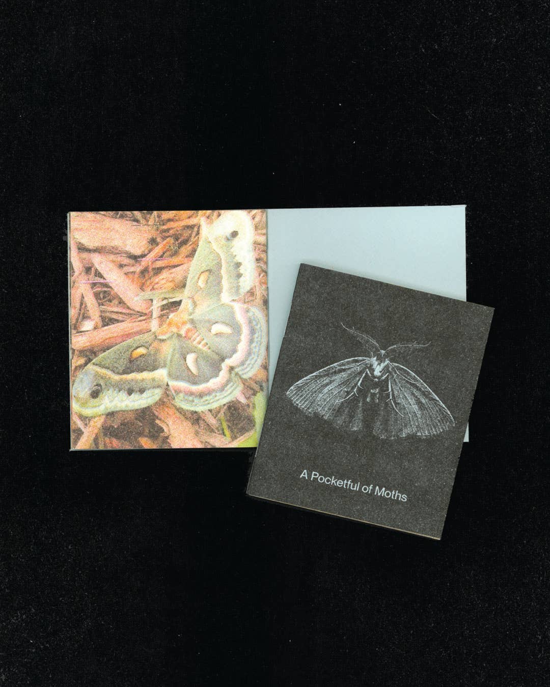 A Pocketful of Moths Risograph Mini Zine