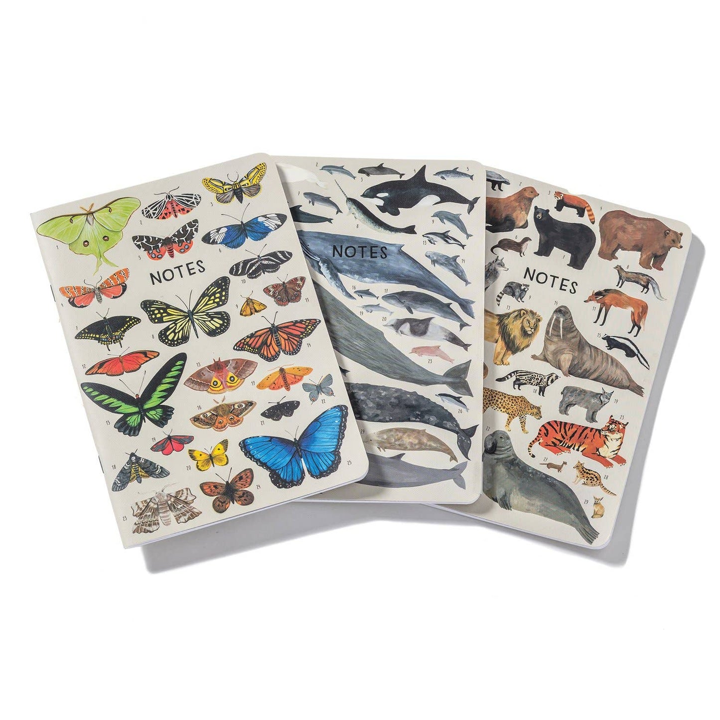 Orders of the Animals Notebook Set