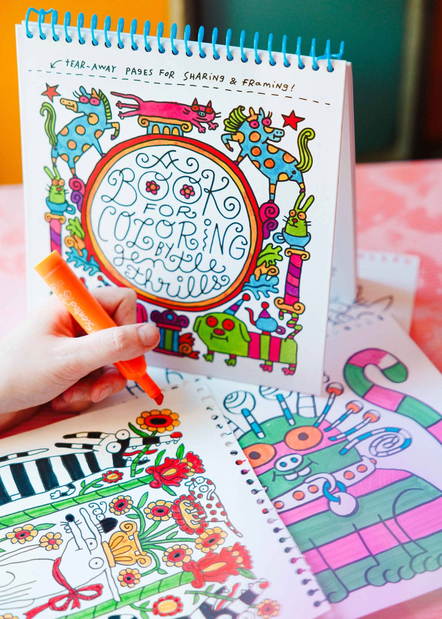 Gentle Thrills Coloring Book