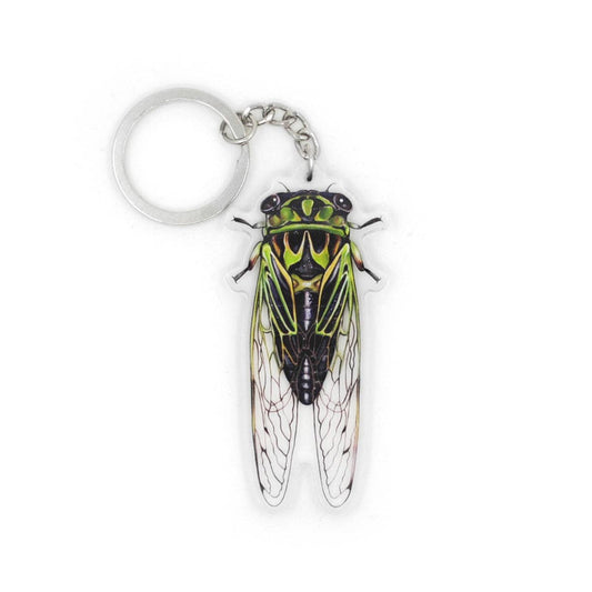 Cicada Keychain