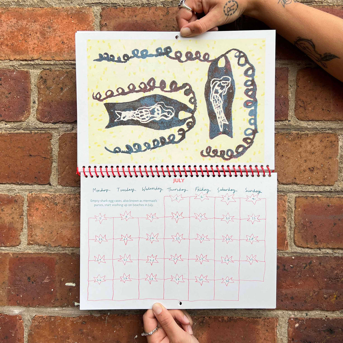 2027 Risograph Illustrated Wall Calendar