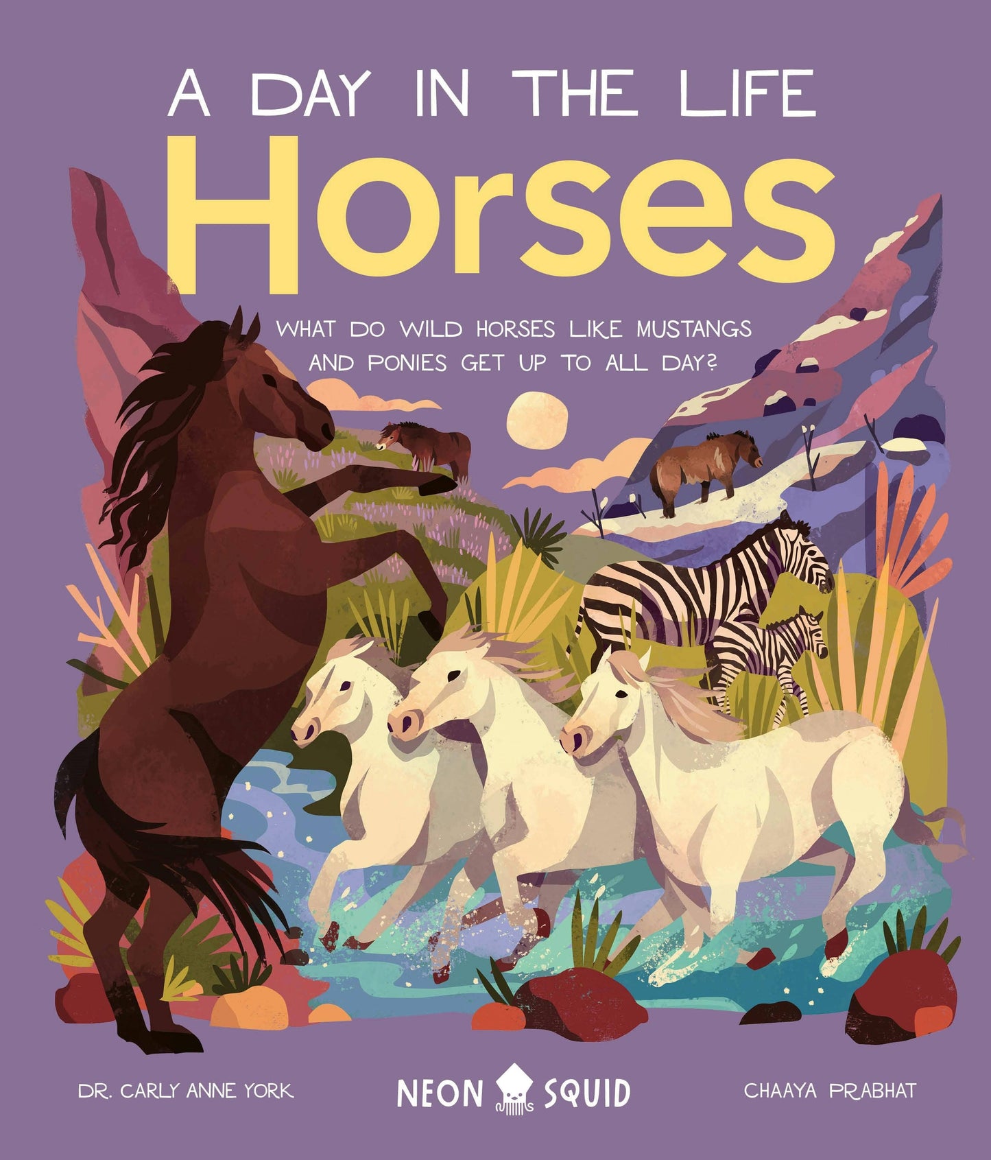 Horses: A Day in the Life book