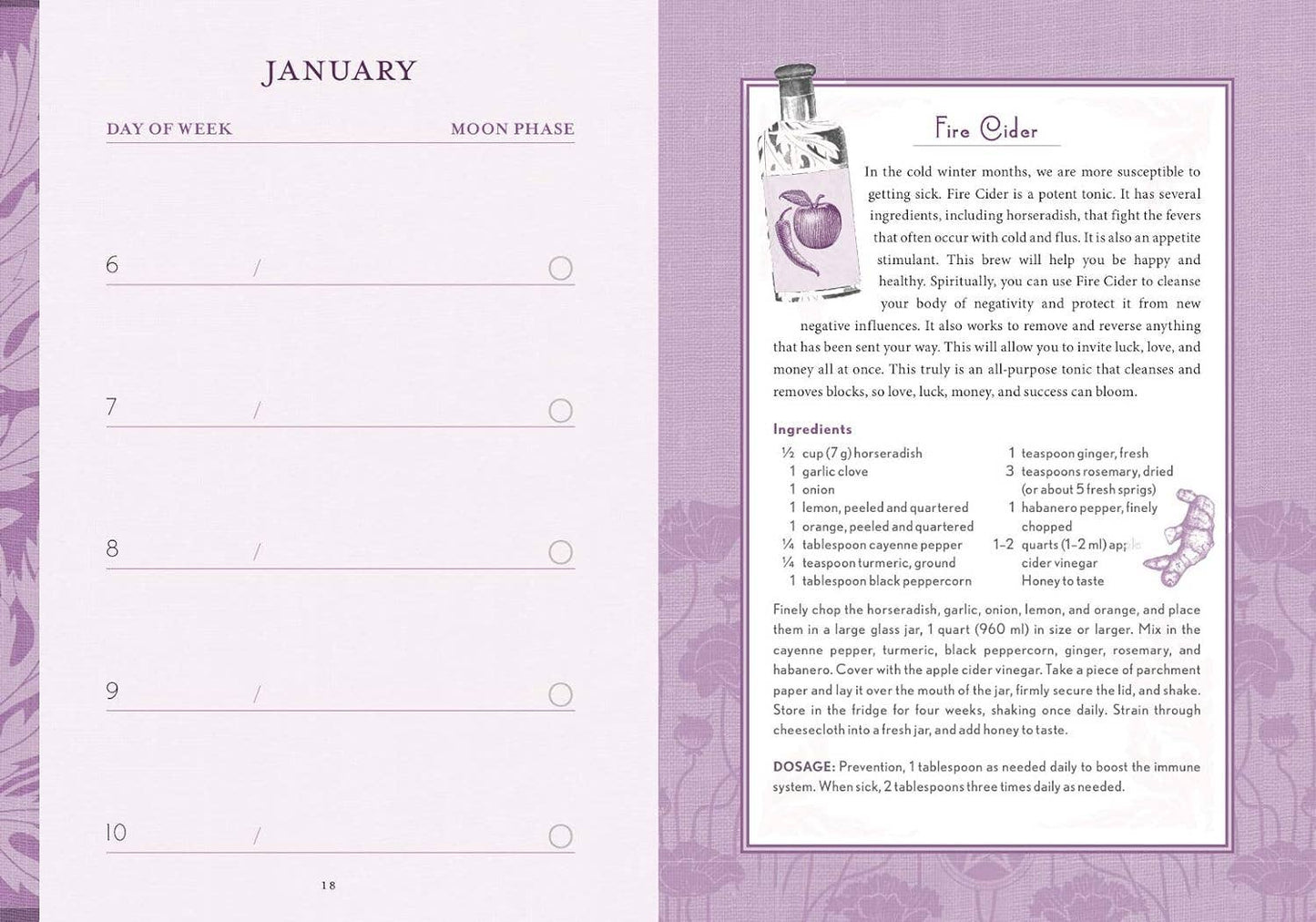 The Good Witch's Perpetual Planner