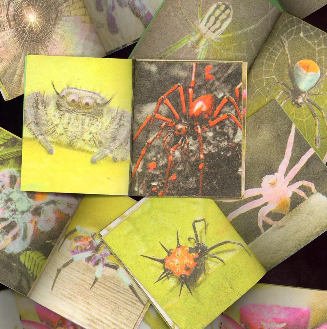 A Pocketful of Spiders Risograph Mini Zine