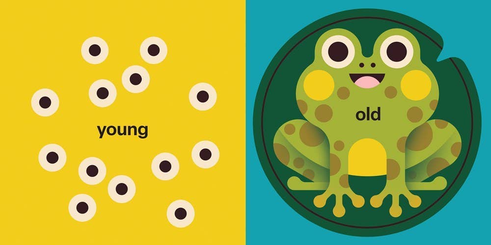 Touch and Trace: Opposites board book
