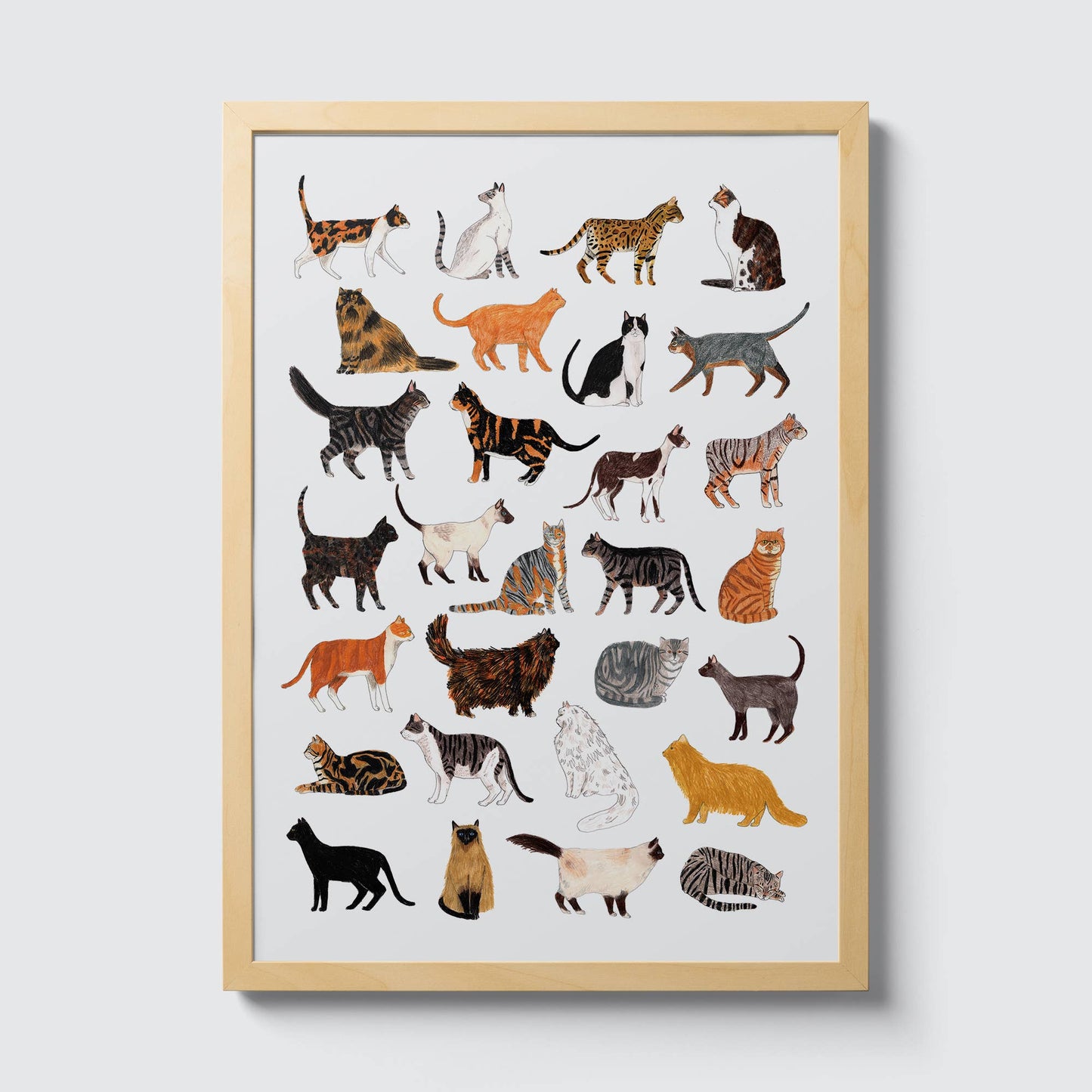 Cat Breeds Print