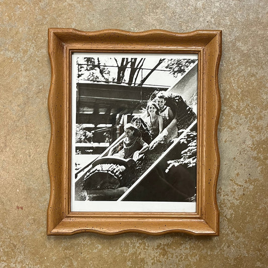 Framed Log Ride Photograph