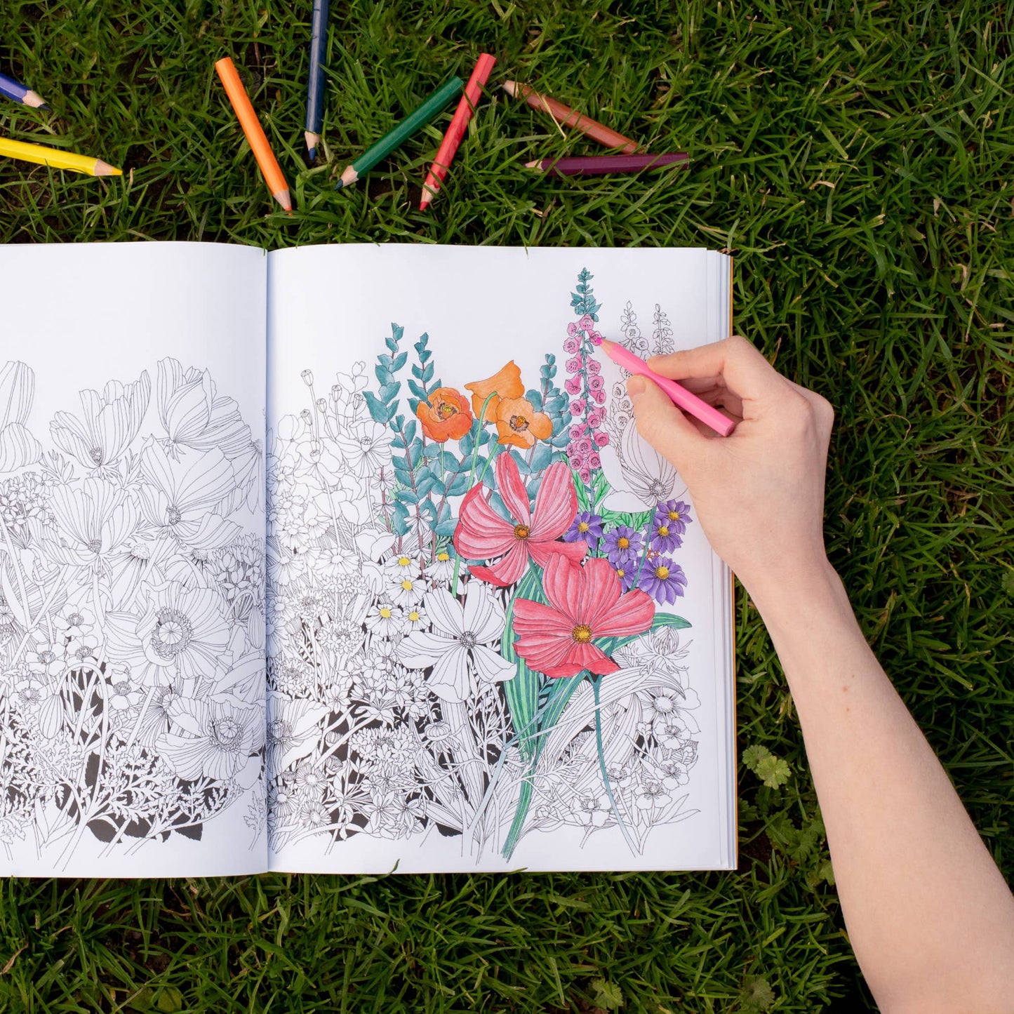 Leila Duly's Beautiful Planet Coloring Book