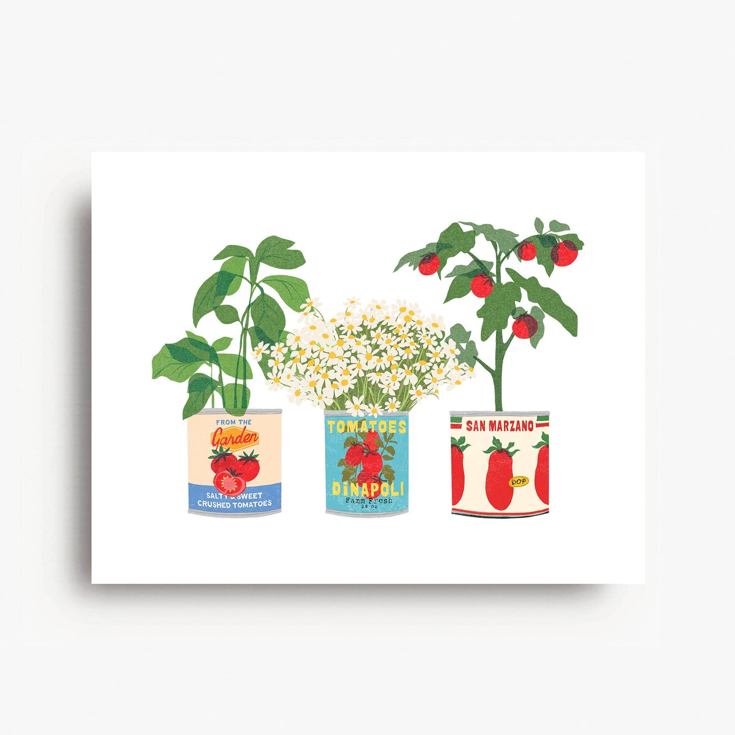 Tomato Plants print