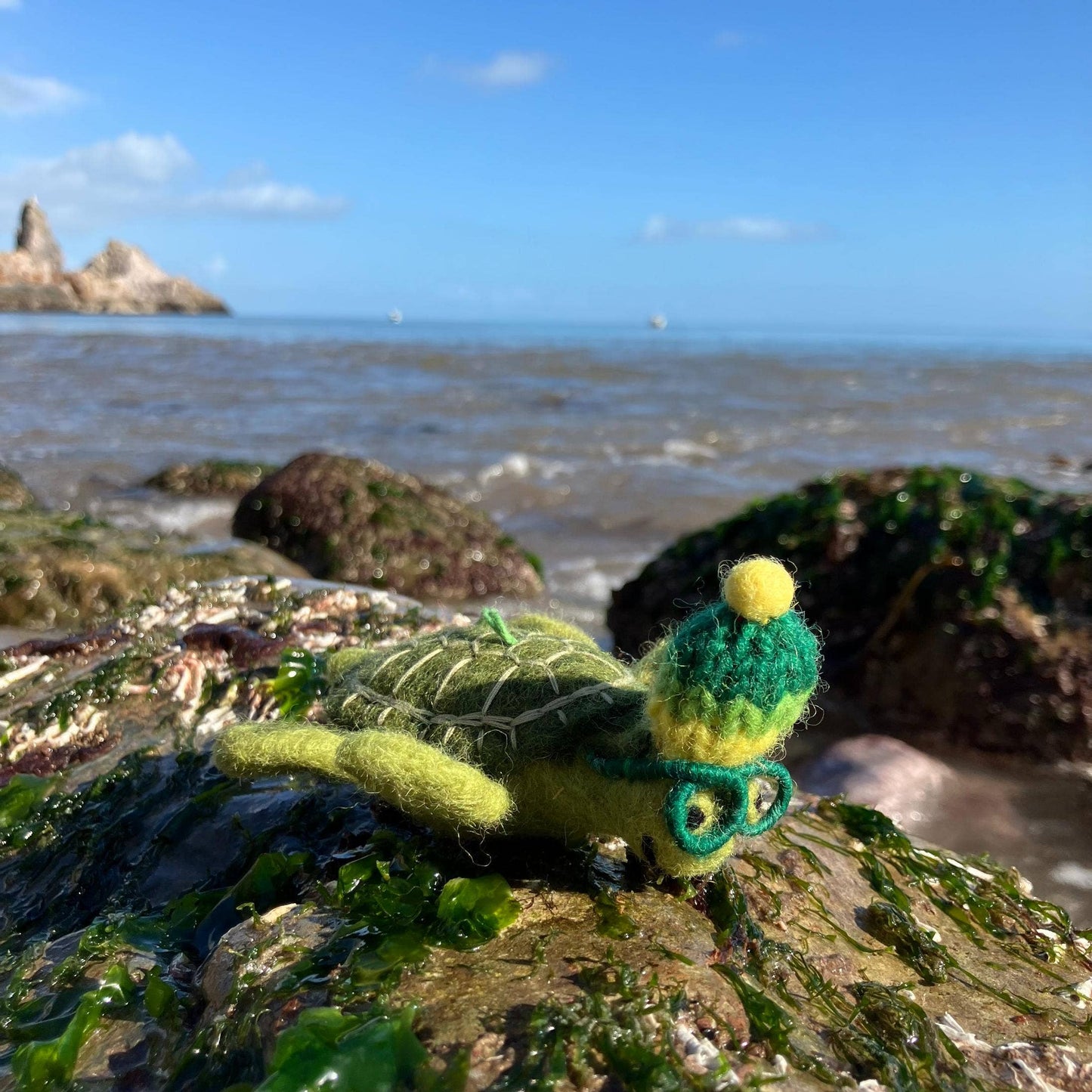 Simon the Sea Turtle Ornament