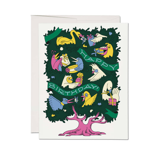 Birthday Birds card