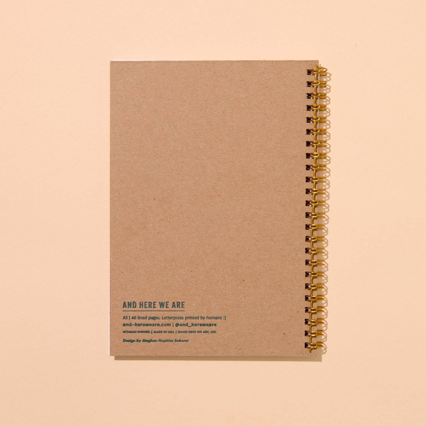 Blue Toile Cats Spiral Notebook