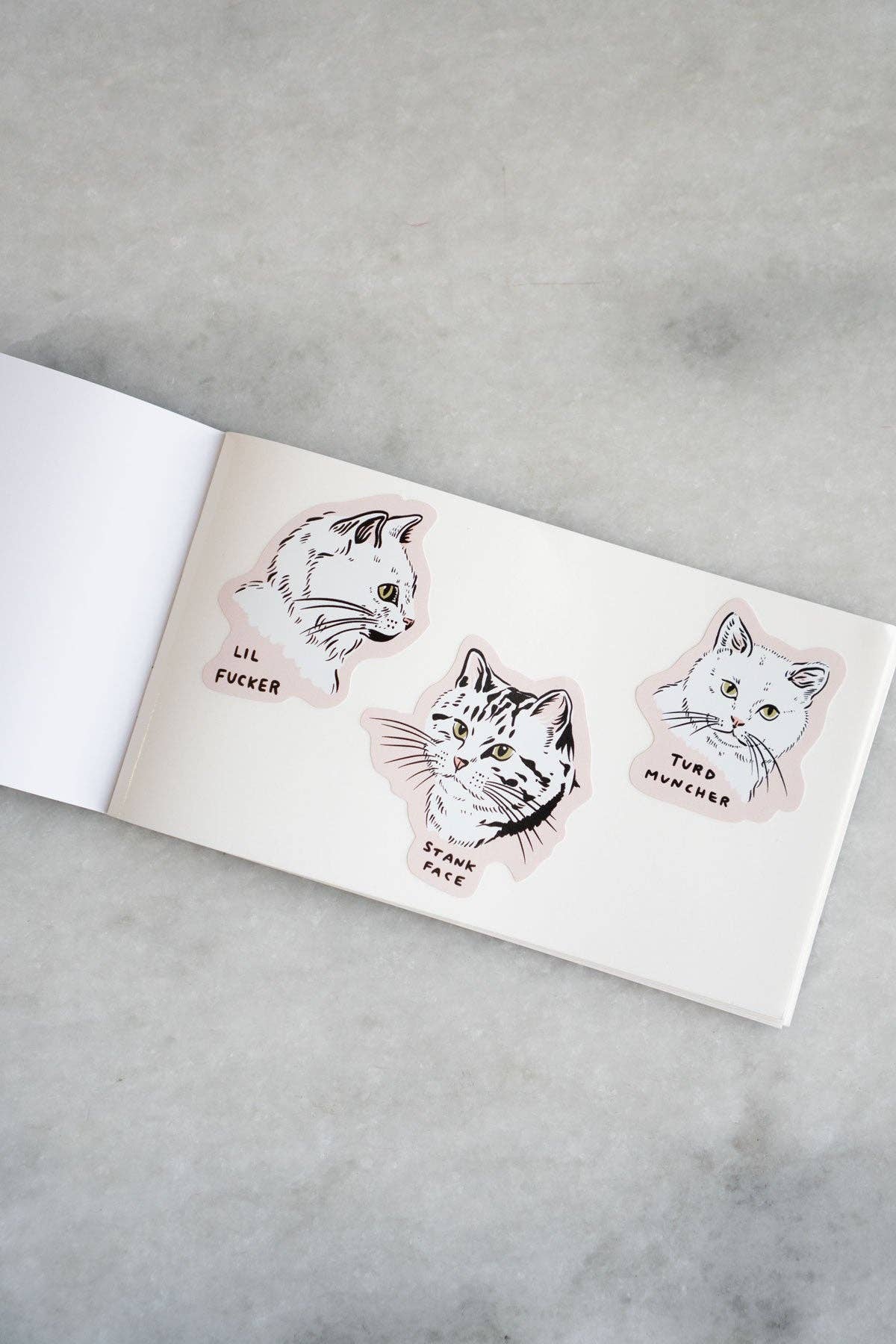 Scrappy Raccoon Pocket Sticker Book