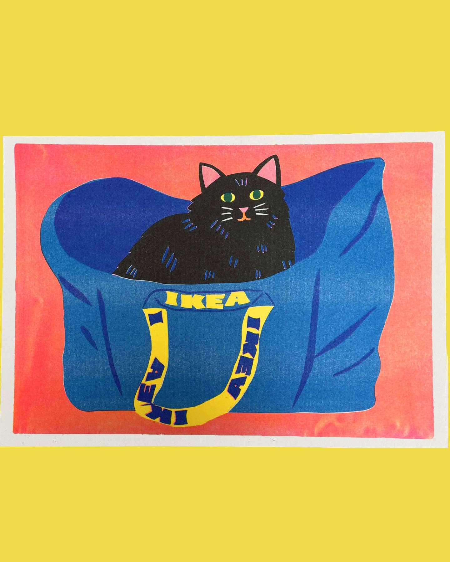 Ikea Bag Cat Print