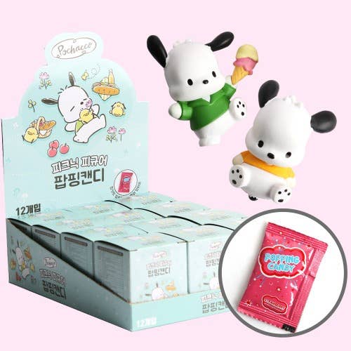 Sanrio Pochacco Picnic Mystery Figure