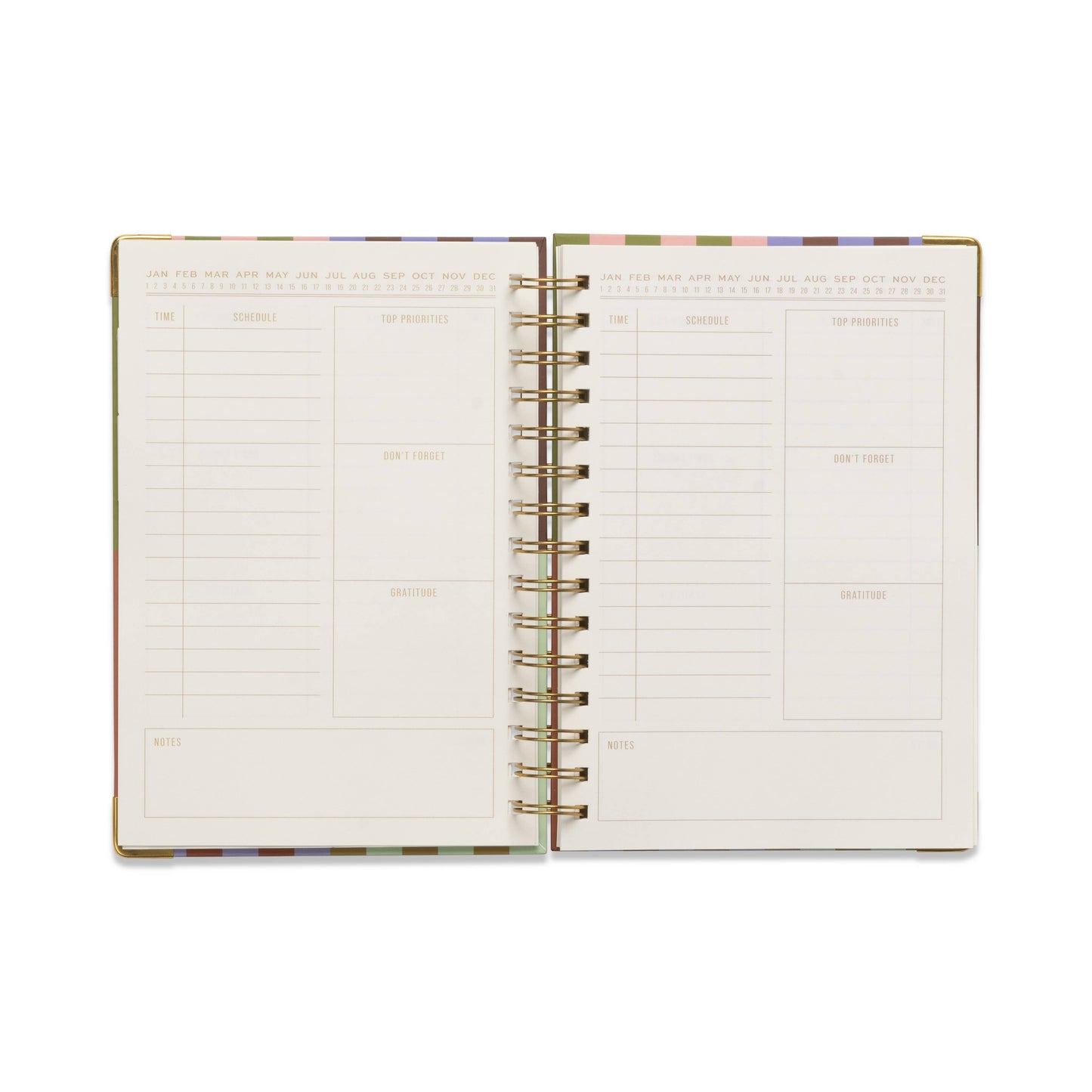 Bold Stripe Undated 13 Mo Perpetual Planner