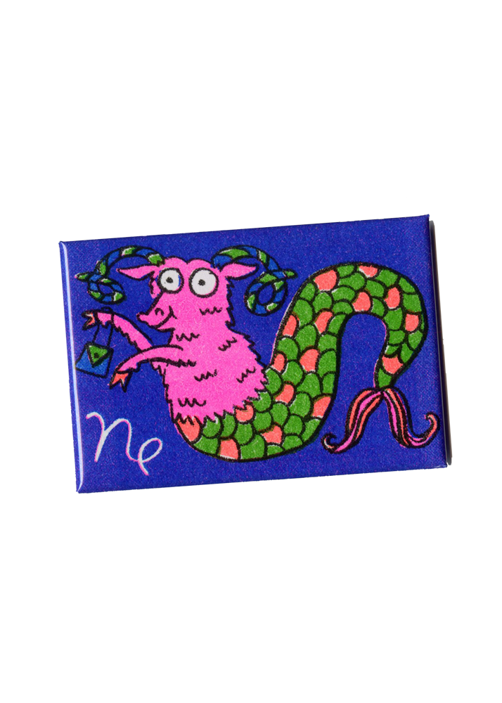 Zodiac magnet