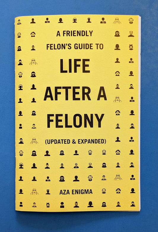 Friendly Felon's Guide to Life After a Felony Zine