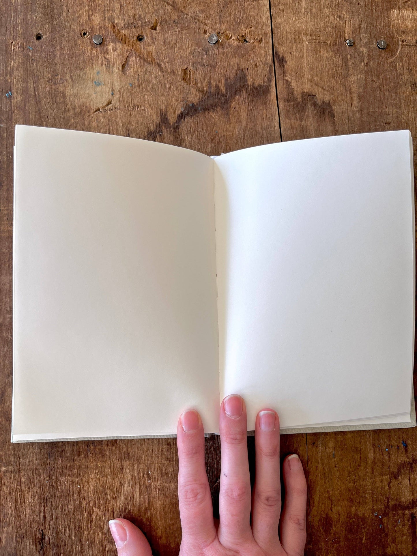 Muted Sage Foil Stamped Linen Journal