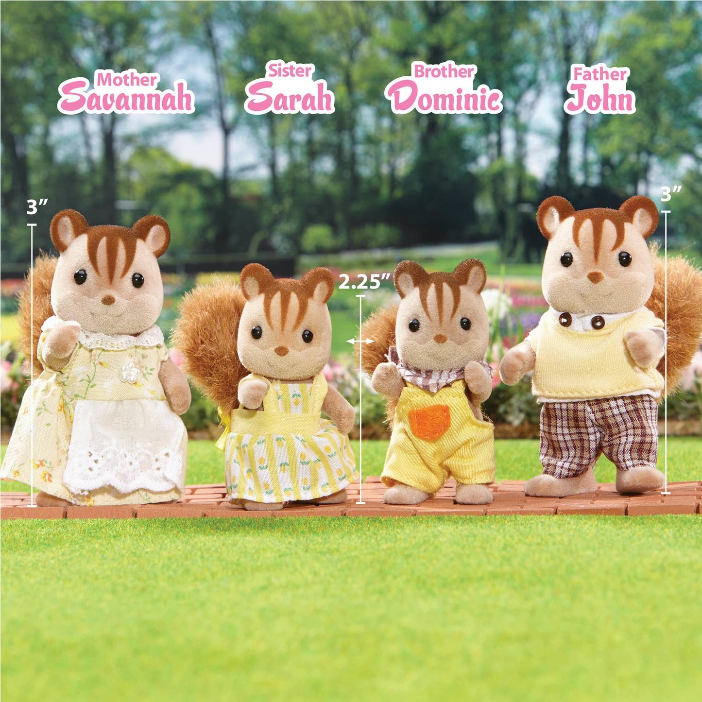 Chipmunk/Squirrel Family Set