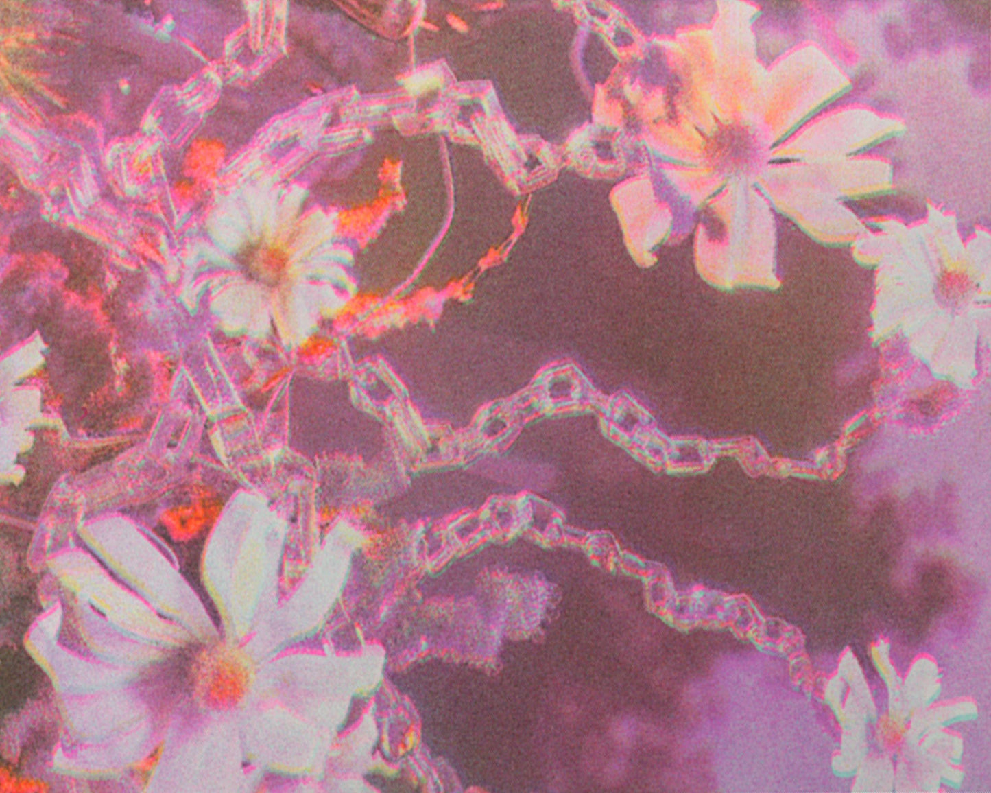 Dream Moss & Floral Card Pack
