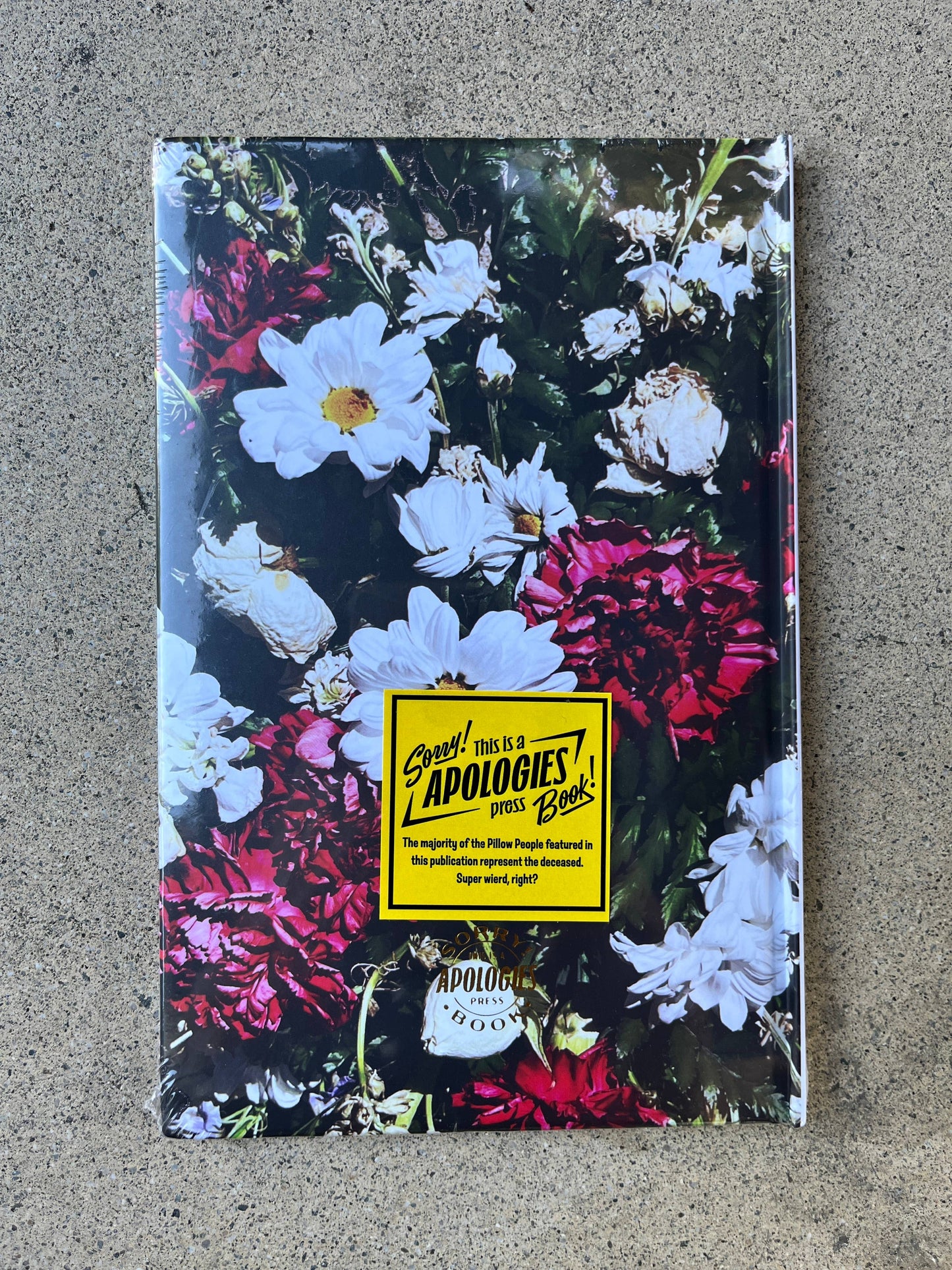 Pillow People HC Zine