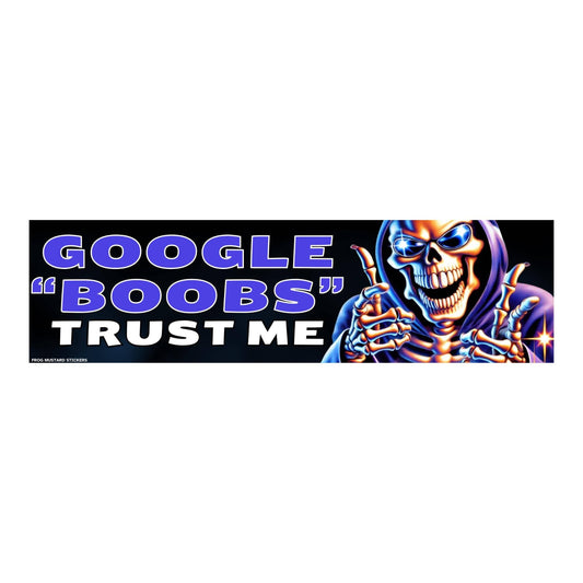 Google "Boobs" Bumper Sticker