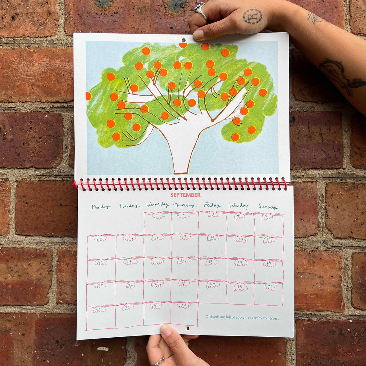 2027 Risograph Illustrated Wall Calendar