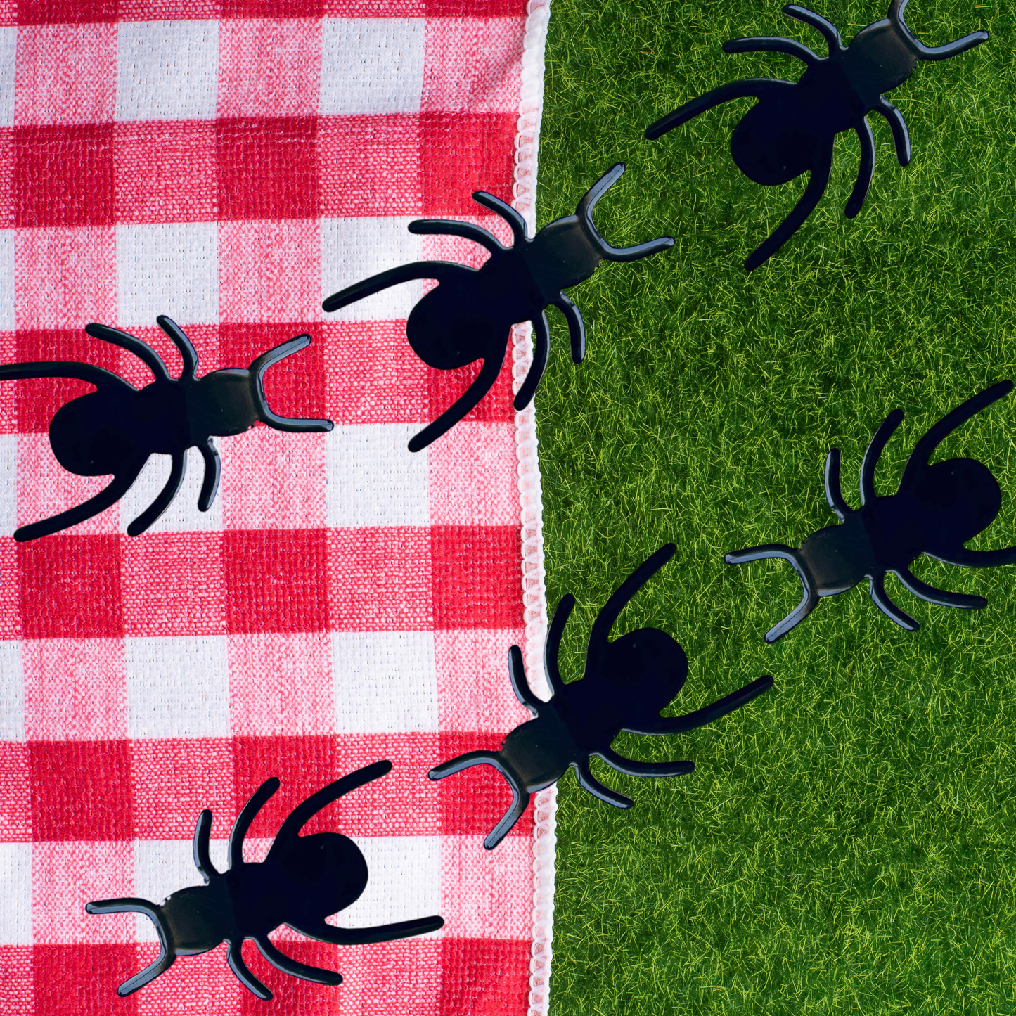 Ants Hair Clip Set