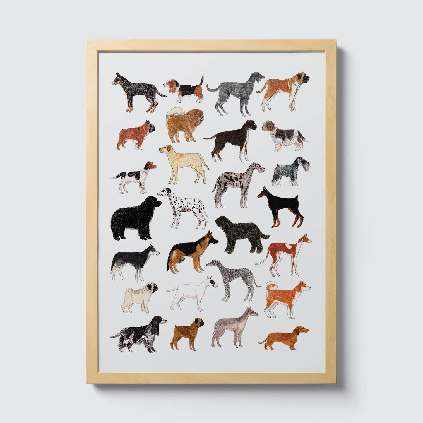 Dog Breeds Print