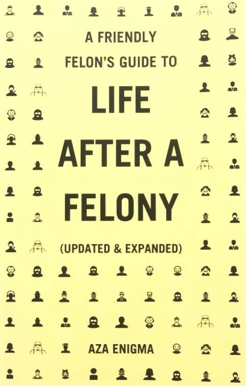 Friendly Felon's Guide to Life After a Felony Zine