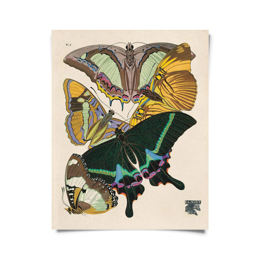 Vintage Seguy Butterfly print