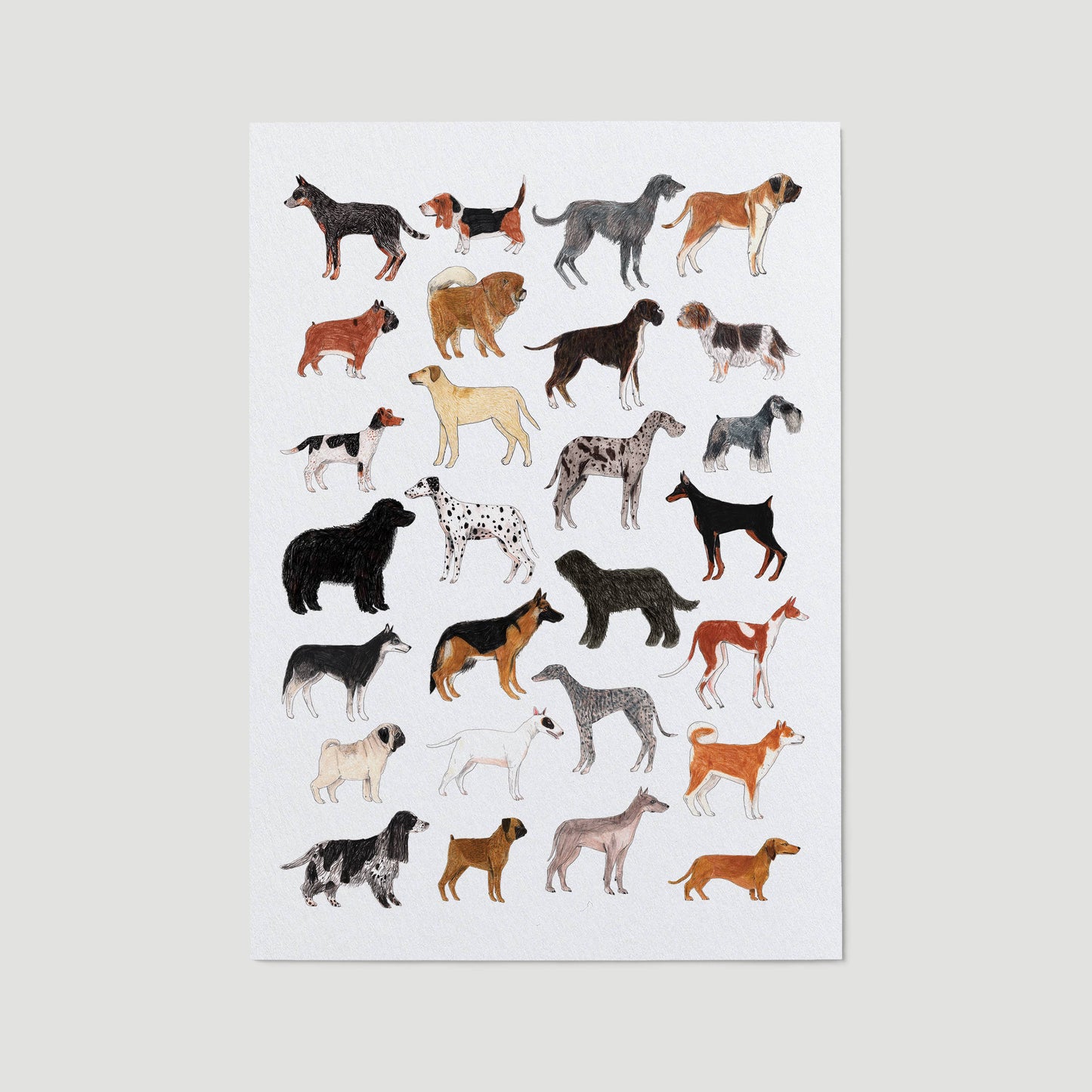 Dog Breeds Print