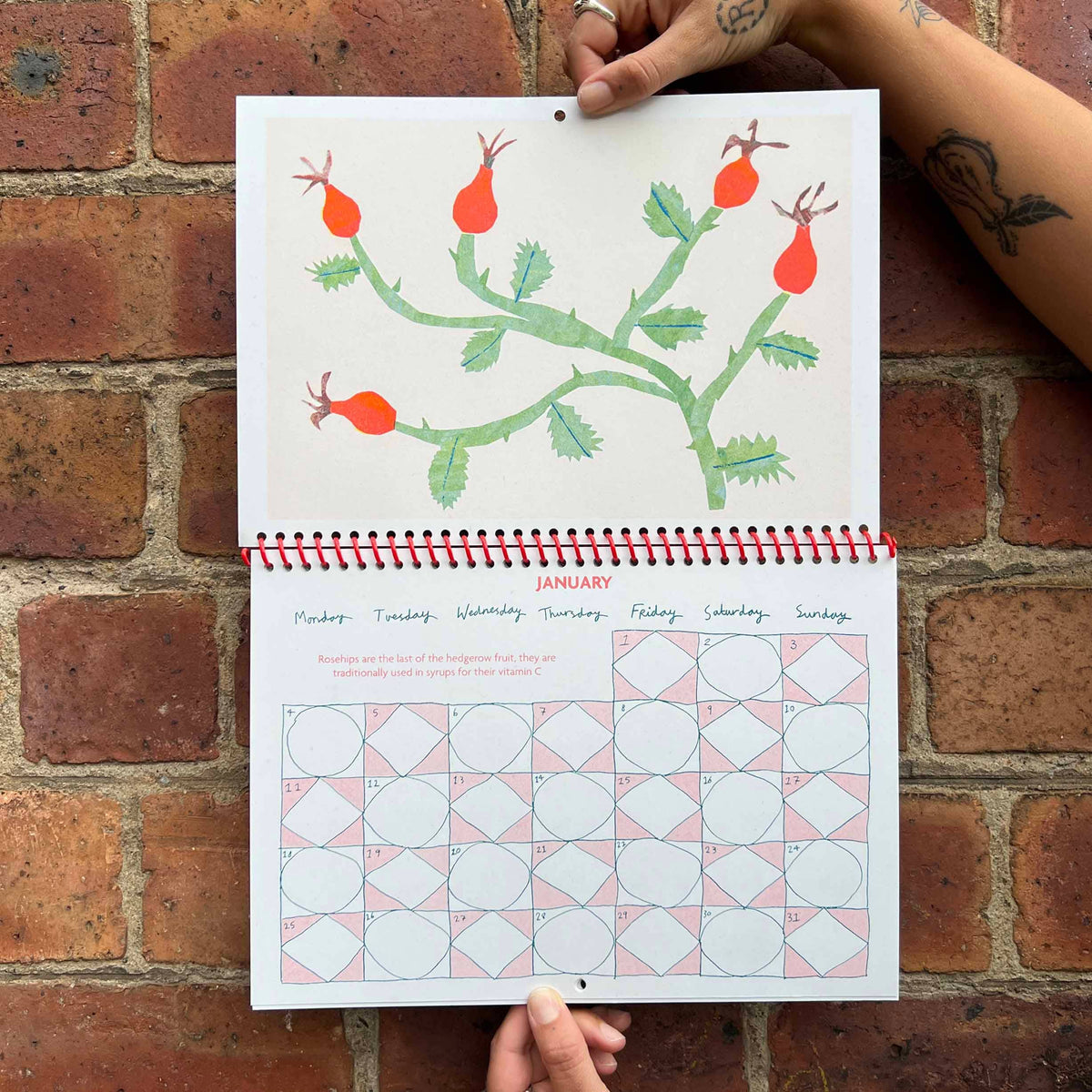 2027 Risograph Illustrated Wall Calendar