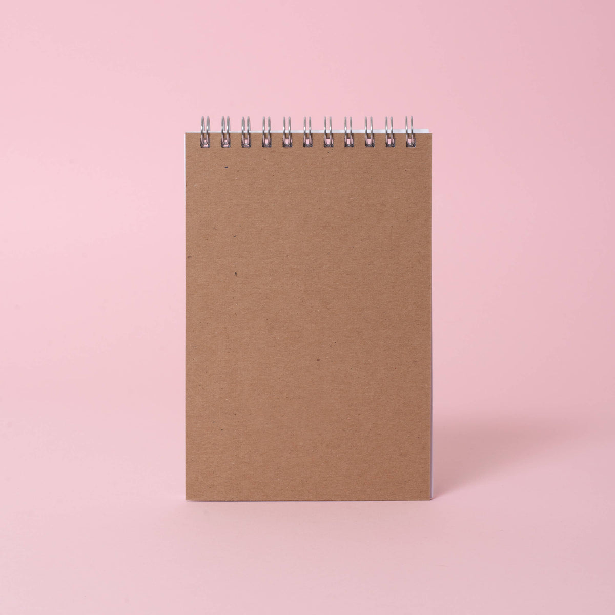 Cat Butt Notes Spiral Notebook