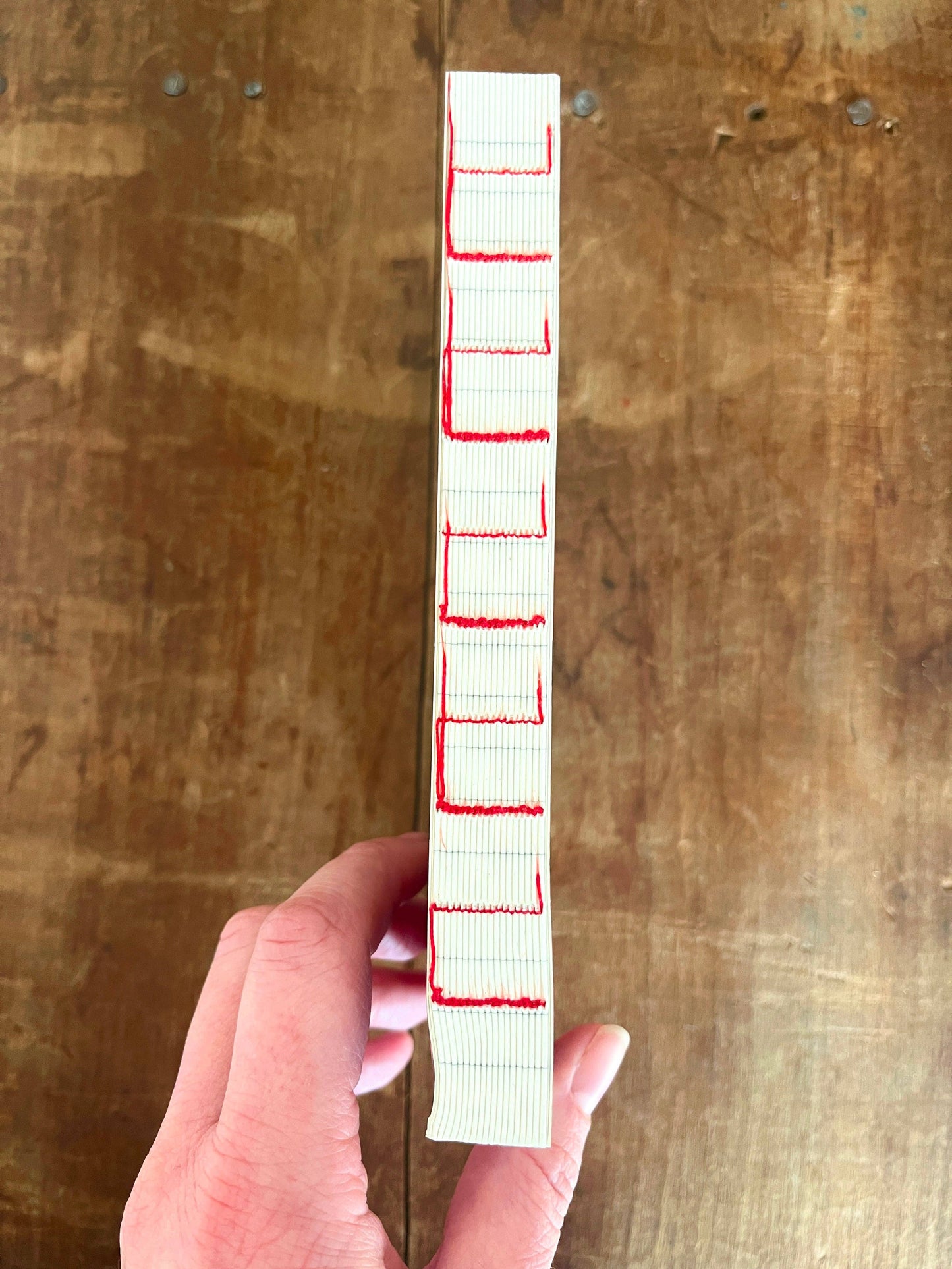 Tomato Naked Spine Journal