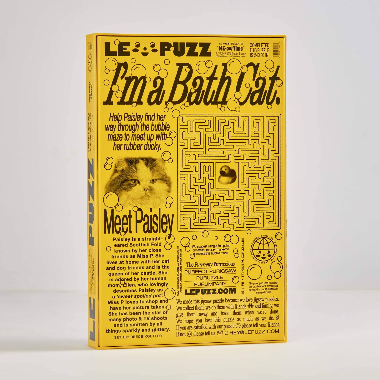ME-ow Time Puzzle