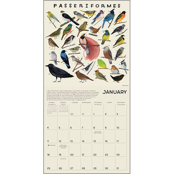 The Illustrated Animal Kingdom 2026 Wall Calendar