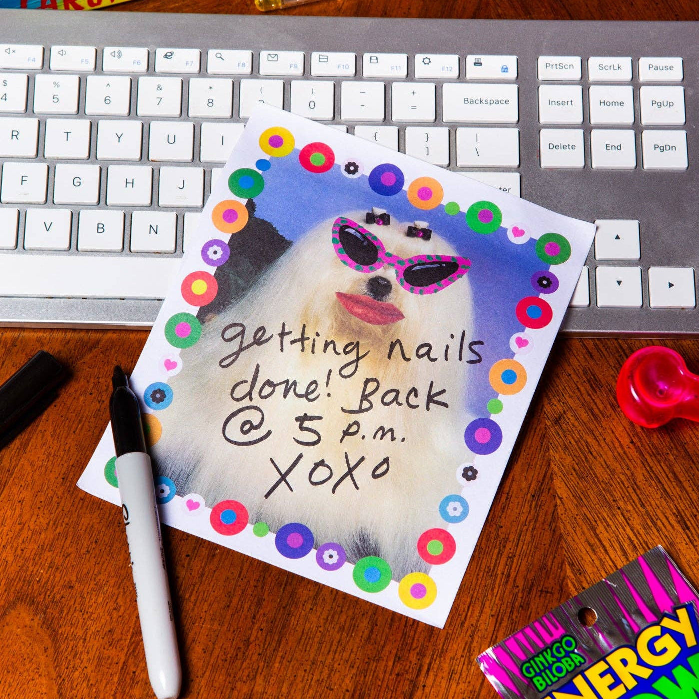 Diva Dog Sticky Memo Pad