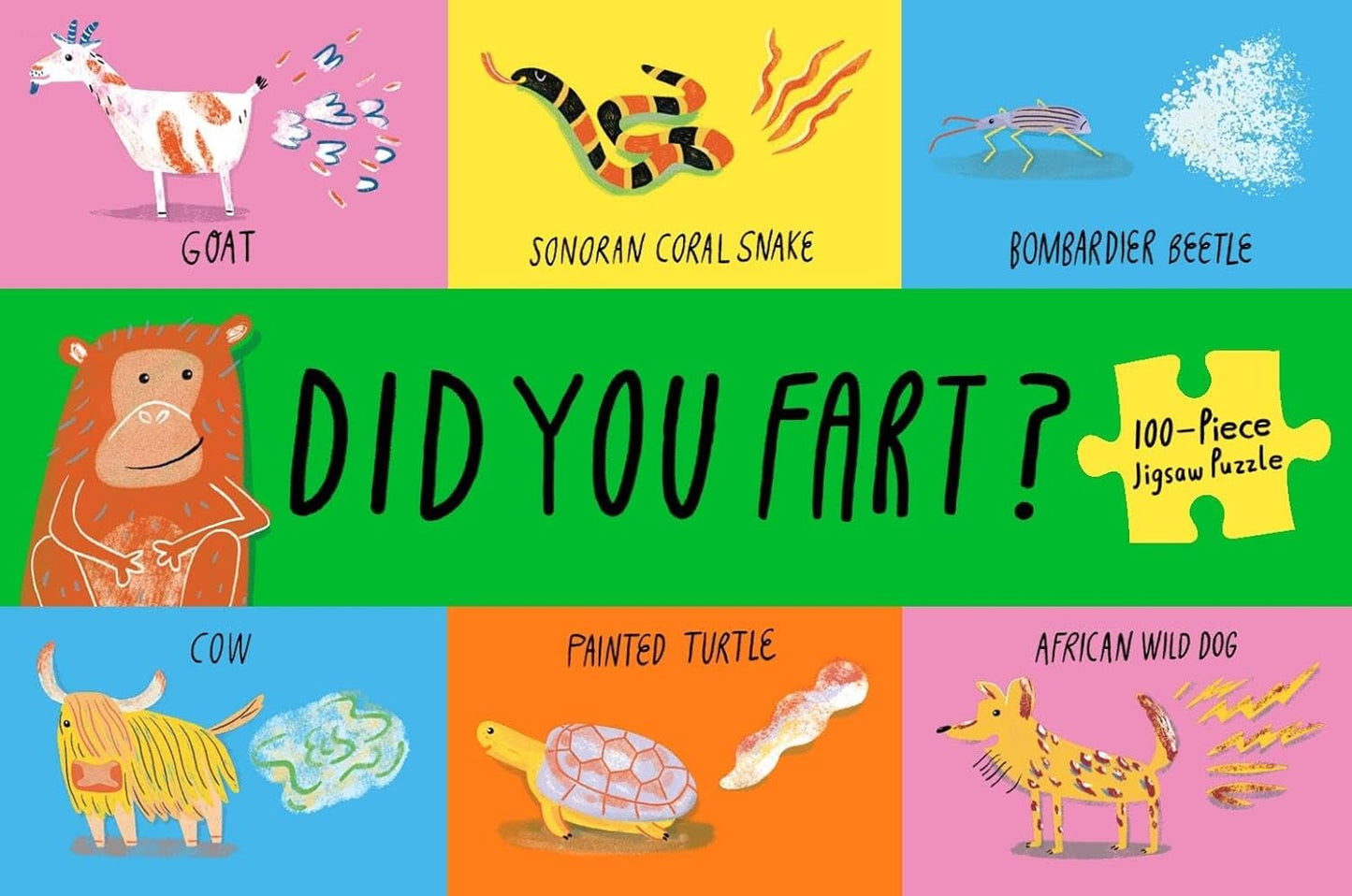 Did You Fart? Puzzle